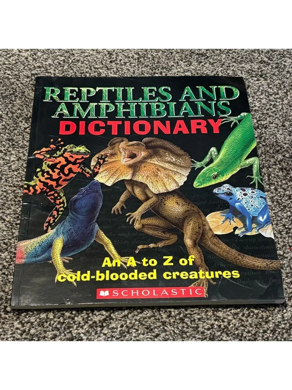 🦎🐍🐢Reptiles and Amphibians Kids Dictionary Book